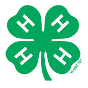 Long Island summer camps